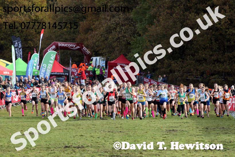 Girls under-13s National Cross Country Relay, Berry Hill Park, Mansfield. Photo:  David T. Hewitson/Sports for All Pics